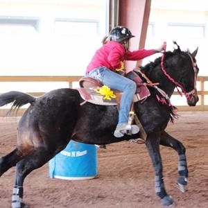 Meet your Posher, Katelyn